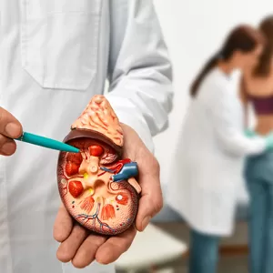 Natural kidney treatment